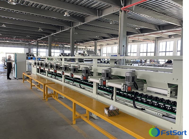 images/1686125976631Pesadora y clasificadora de maracuyá.jpg